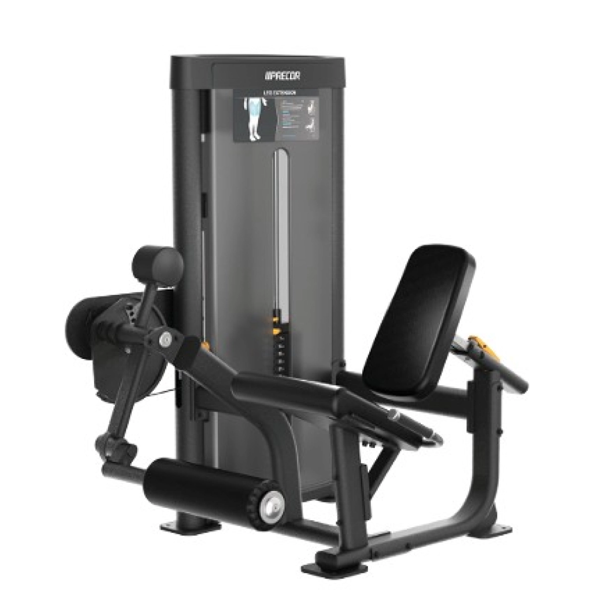 Biceps e Extensão de Triceps Vitally Precor