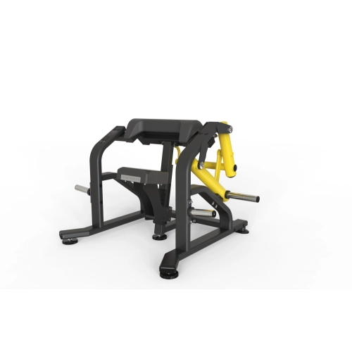 Bíceps (Arm Curl)
